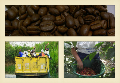 Fair Trade photo collage